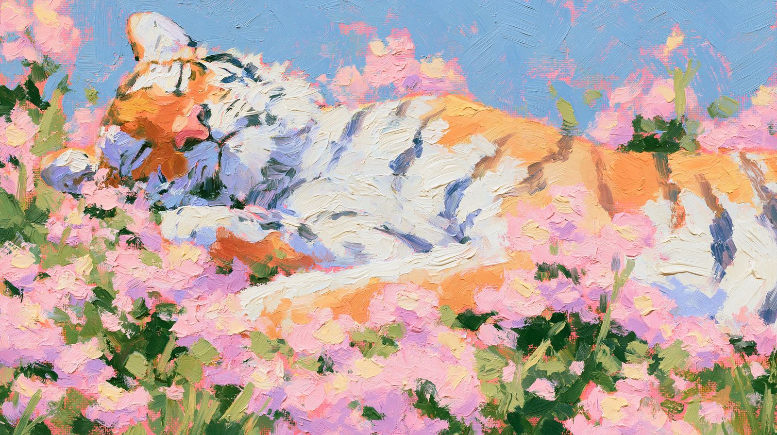 The Tiger — A tiger sleeps in a meadow of pink blossom, seen from above.