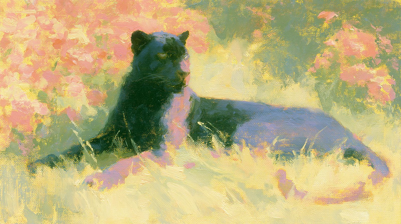 The Panther — A black panther settles into pale grass at the warm end of the day.